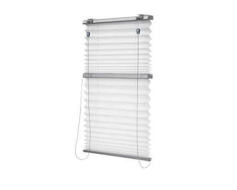Twin Pleated Blind