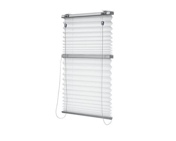 Twin Pleated Blind