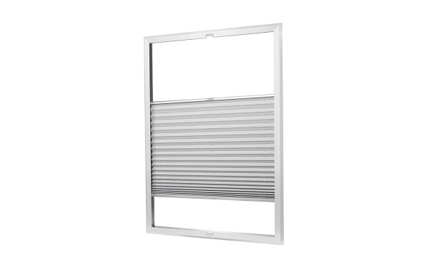 Framed Twin Pleated Blind