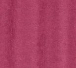 Fuschia